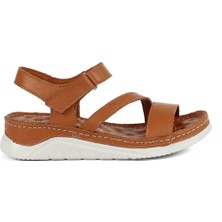 Kadın Taba Bilekten Cırt Cırtlı Deri Sandalet