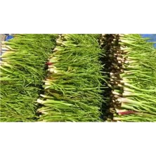 Çarşır (Heliz) 1 kg