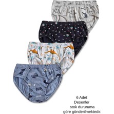 %95 Pamuklu Erkek Çocuk Slip Kilot Iç Çamaşır 6lı Set