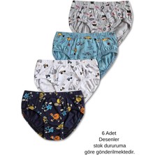 %95 Pamuklu Erkek Çocuk Slip Kilot Iç Çamaşır 6lı Set