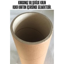 Gerilen Penceredeki Kedi ve Doğa Duvar Özel Sticker Yapıştırma (Sudan ve Nemden Etkilenmez)