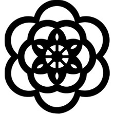 Papatya Çiçeği Oto Özel Yeni Sticker Siyah 25 x 27 cm