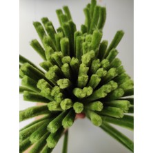 Liva Heryer.ciceklenir 100'LÜ Ordu Yeşili Renkli Şönil, Eğitici Şönil Seti, Tüylü Tel, 30 cm 6mm