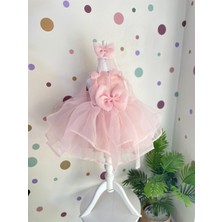 Pudra  Çocuk Özel Gün Elbisesi