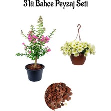 Pembe Oya AĞACI(30-60CM)+SARI Petunya ÇIÇEĞI(20-30CM)+2LT Curf Dekoratif Taş 3'lü Peyzaj Seti