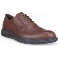 Ecco Hybrid 720 Potting Soil