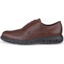 Ecco Hybrid 720 Potting Soil