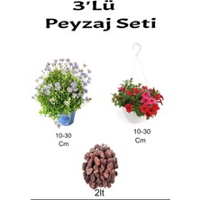 3'lü Peyzaj Seti Mavi Çalı Papatyası Kırmızı Petunya Çiçeği Curf