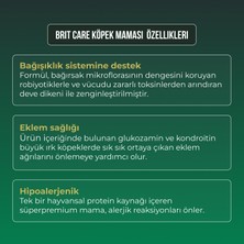 Brit Care Kuzu Etli Hypoallergenic Büyük Irk Köpek Maması 12 kg