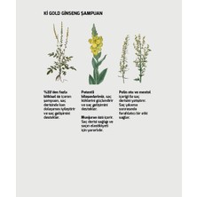 Ki Gold Ginseng Şampuan 500 ml