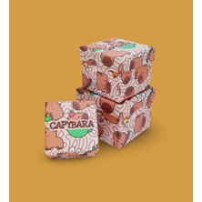 Capybara Desenli 3'lü Hediye, Kutusu Seti | Mini Kutu Seti