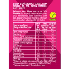 Non Toxx Nontoxx Guava & Kivi Aromalı, Sirkeli, Gazlı İçecek 250 ML