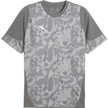 Puma Teamcup Training Jersey Erkek Futbol Tişörtü 65916713 Gri