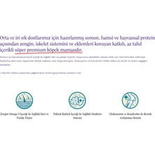 Sensitive Orta ve Iri Irk Yetişkin Köpek Maması Somonlu 12 kg