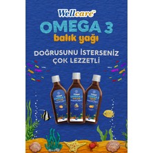 Wellcare Omega 3 Karışık Meyve Aromalı Balık Yağı - 150 ML