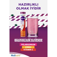 Wellcare Immune 15 Efervesan Tablet