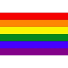 Lgbtq Gökkuşağı Bayrağı 100X150