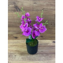 Yapay Çiçek Dekoratif Orkide 4 Dal Orkide Plastik Saksılı