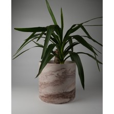 Dekoratif Beton Saksı 25 cm - Delikli+Tabak / Deliksiz - 12L