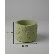 Dekoratif Beton Saksı -Monstera 7,5X12 0.25L Küçük Ahşap Ayaklı Saksı