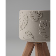 Dekoratif Beton Saksı -Monstera 7,5X12 0.25L Küçük Ahşap Ayaklı Saksı