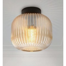 Mylights Rustik Vintage Bal Camlı Tavan Plofonyer Avize