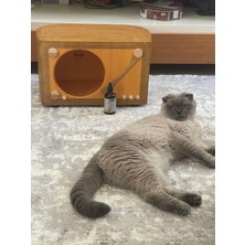 Dekoratif Kedi Evi Kedi  Biotin  Çinko