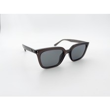 Ray-Ban 4439D 667587 54 Unisex Güneş Gözlüğü