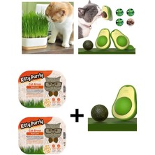 Arven ToysDoğal Kedi Çimi (Tüy Yumağı Önleyici) + Avokado Kedi Çimi Kedi Oyuncağı