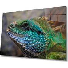 Iguana Cam Tablo
