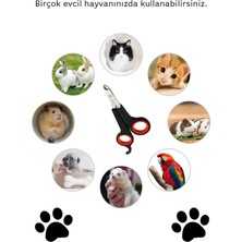 Arven Toys4'li Kedi Seti: Kedi Oltası + Kedi Yalama Topu +Evcil Hayvan Tırnak Makası +Tüy Toplama Rulosu