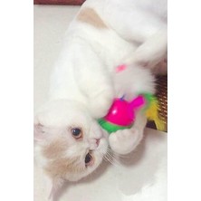 Arven ToysHareketli Kedi Topu Yavru Kedi Eğitici Hacı Yatmaz Oyuncak