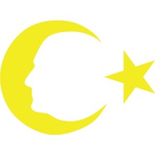 Ayyıldız ve Atatürk Silüeti STICKER17X17 cm Sarı