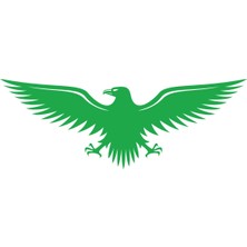 Kartal STICKER17X17 cm Yeşil