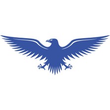 Kartal STICKER17X17 cm Mavi