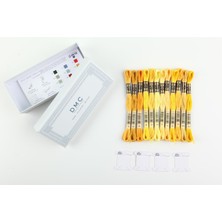 DMC Kutu Muline Iplik Seti - Sarı Renkler