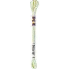 DMC Varıatıons Muline