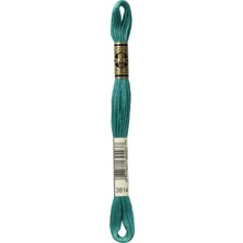 DMC Muline Iplik 3814