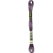 DMC Muline Iplik 3041