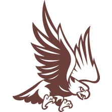 Kartal STICKER17X17 cm Kahverengi