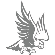 Kartal STICKER17X17 cm Gri