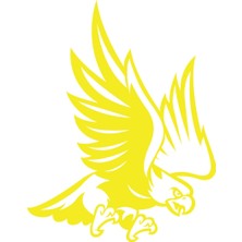 Kartal STICKER17X17 cm Sarı