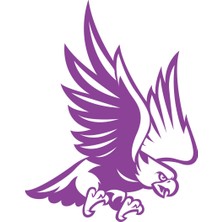 Kartal STICKER17X17 cm Mor