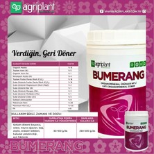 Bumerang 500 gr Çiçeklendirici