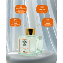 Karum Academy Mango (Egzotik ve Canlandırıcı Meyve Aroması) Çubuklu Kare Oda Kokusu 100 ml