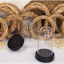 Teraryum Malzemesi Ters Fanus Boş Mika Fanus