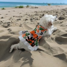Kedi ve Köpek Elbisesi