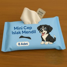 Anı Ofis Kırtasiye Mini Cep Islak Mendil 8'li Paket | Aloe Veralı | Alkol Içermez | Yumuşak Dokulu |taşınabilir |mavi̇