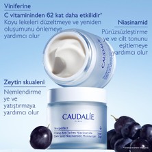 Belirtilmemiş Vinoperfect Niasinamid Bakım Kremi 50 ml