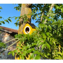 Ahşap Dekoratif Kuş Evi Yuvası, Yuvalık, Balkon , Bahçe Aksesuarı